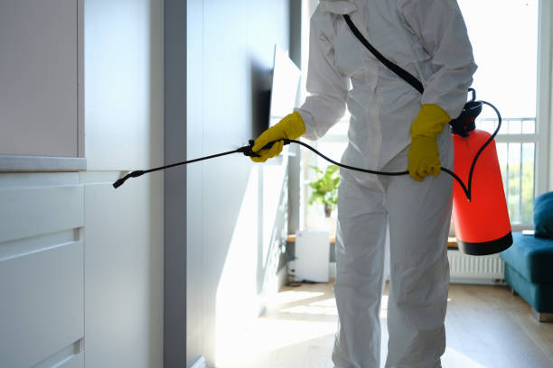 Best Bathroom Mold Remediation in White Hall, WV