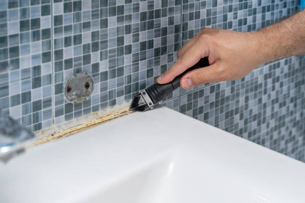Best Basement Mold Remediation in White Hall, WV
